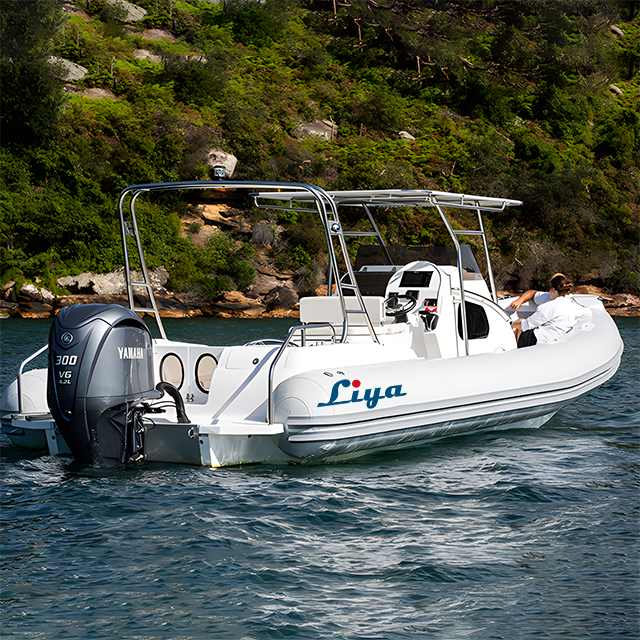 Liya Rigid rib 27 Feet Cabin Rib Boat 8.3 Meter